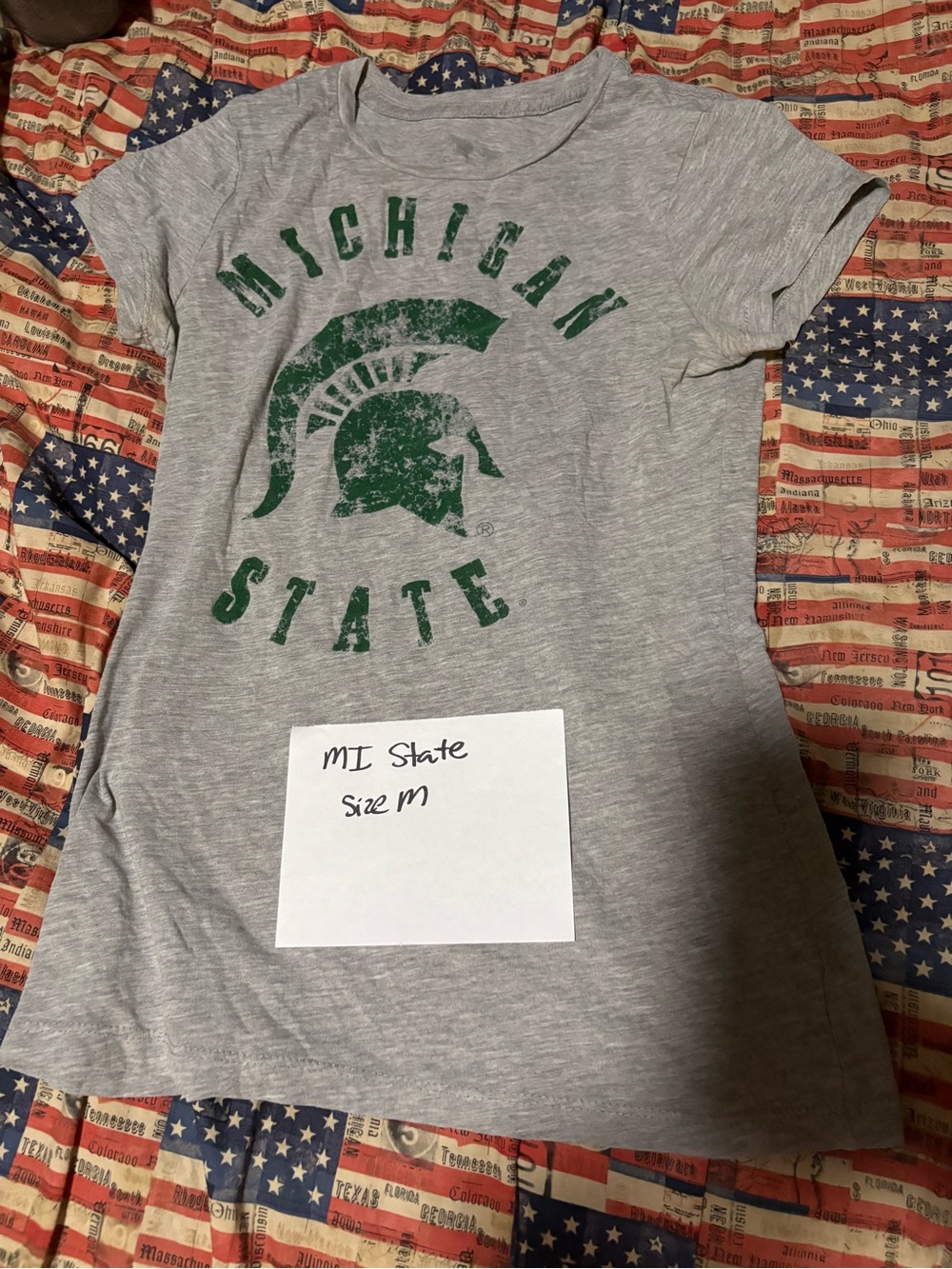 Michigan State Grey Graphic T-Shirt with Green Logo